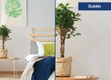 Стеклообои BauTex Luxury Dublin LUX 1